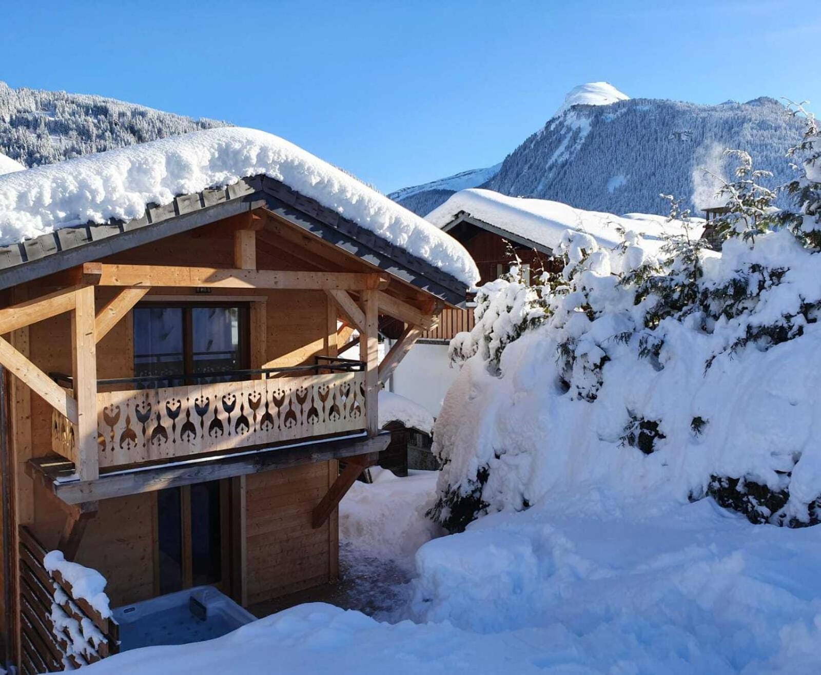 Chalet Delphinette - Spa Privatif Morzine Dış mekan fotoğraf